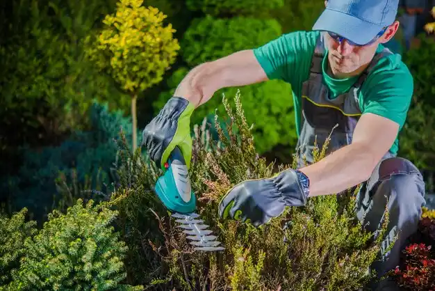 landscaping services West Hattiesburg
